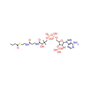 Butanoyl-coenzyme A